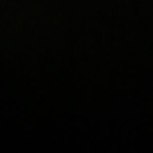 Meet your Posher, Jodie